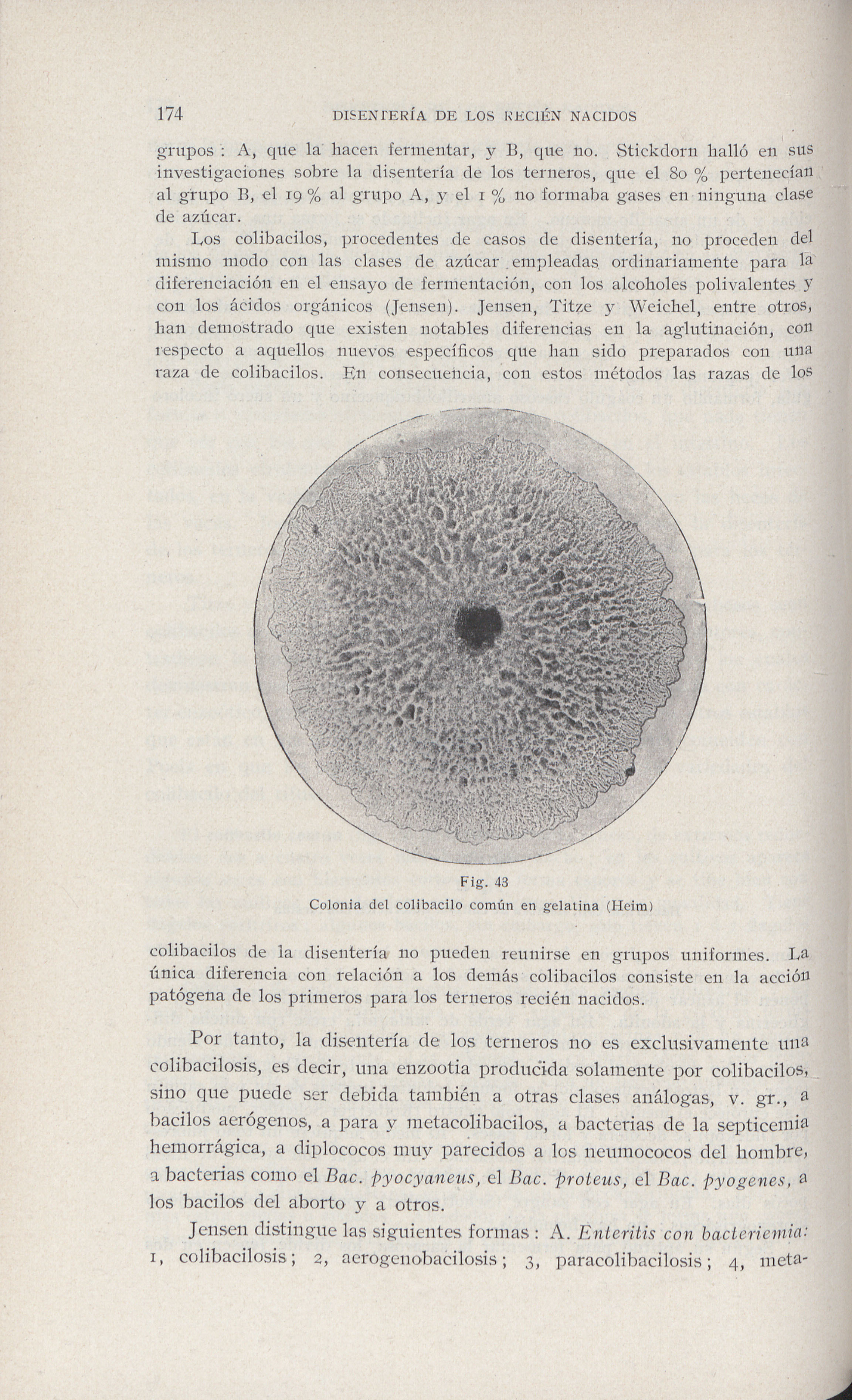 Página 182