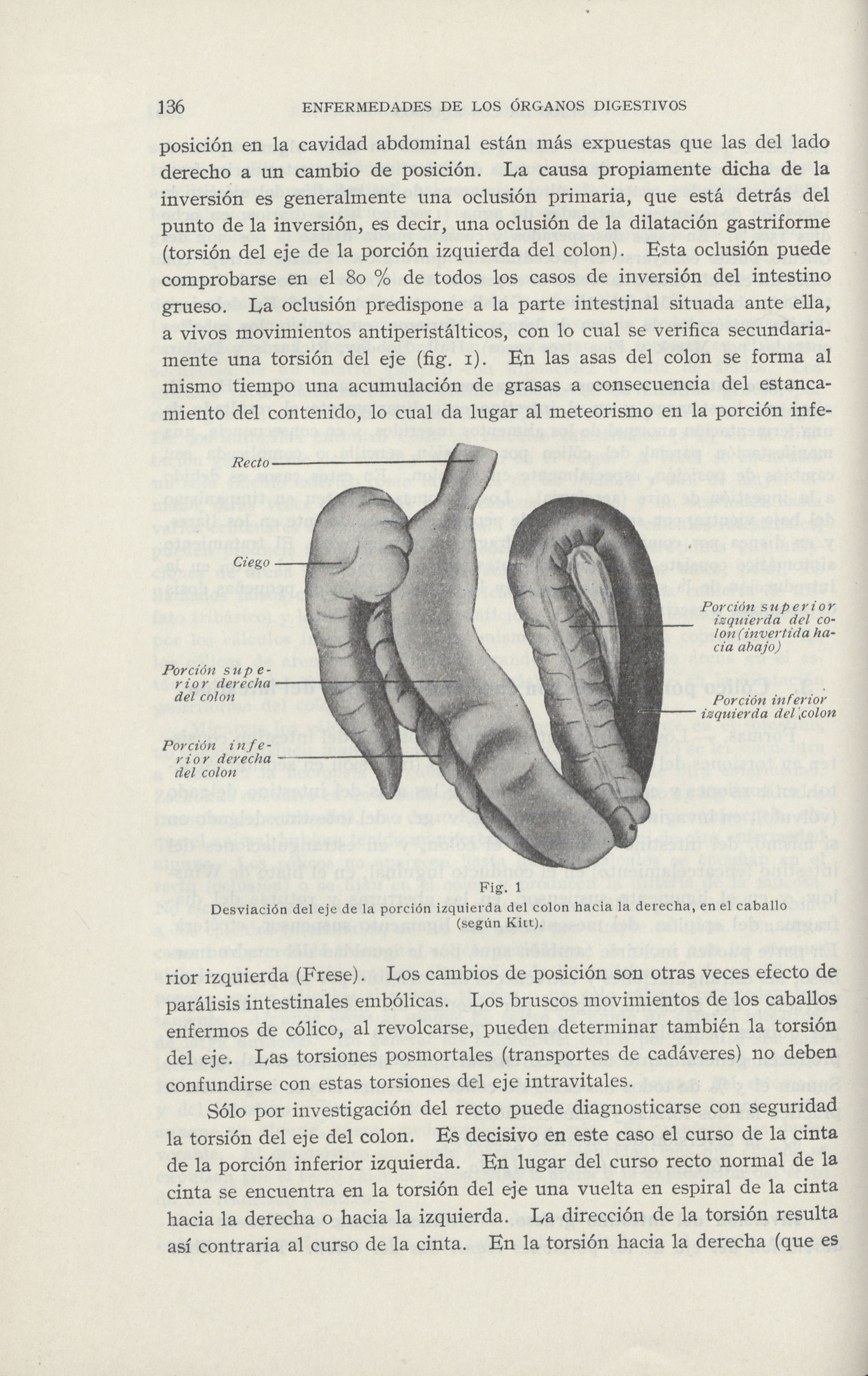 Página 148